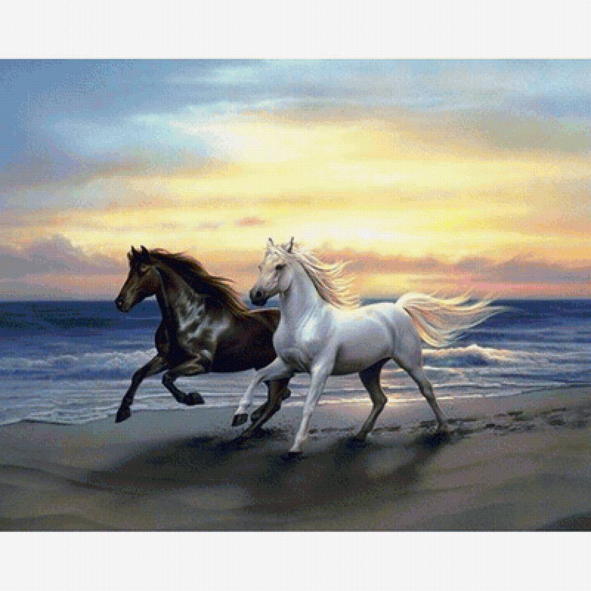 Бегущие лошади - пейзаж, море, лошади, закат, бегущие лошади - предпросмотр