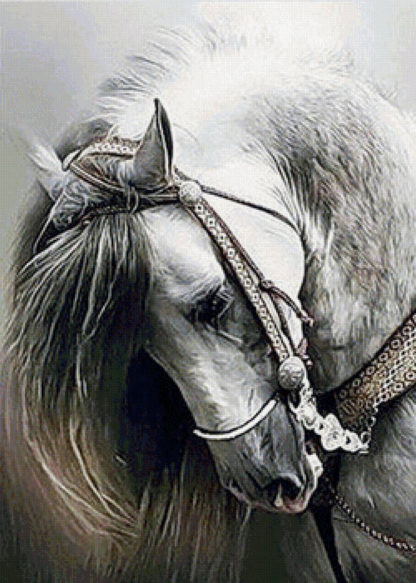 Лошадь - лошадь, лошади, белые лошади - предпросмотр