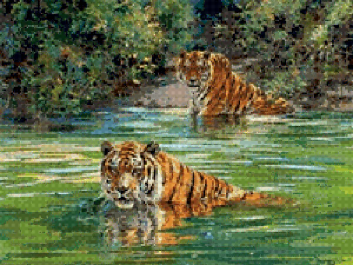 тигры - природа - предпросмотр