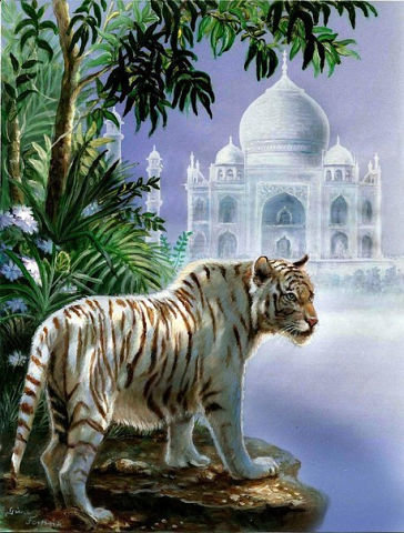 Белый тигр - животные, белый тигр, природа - оригинал