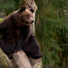 Схема вышивки «наблюдатель»