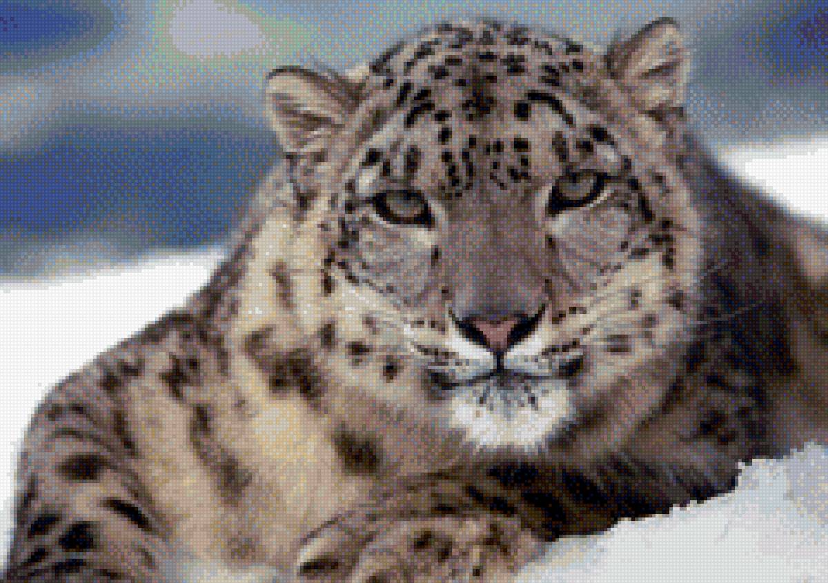 барс - предпросмотр