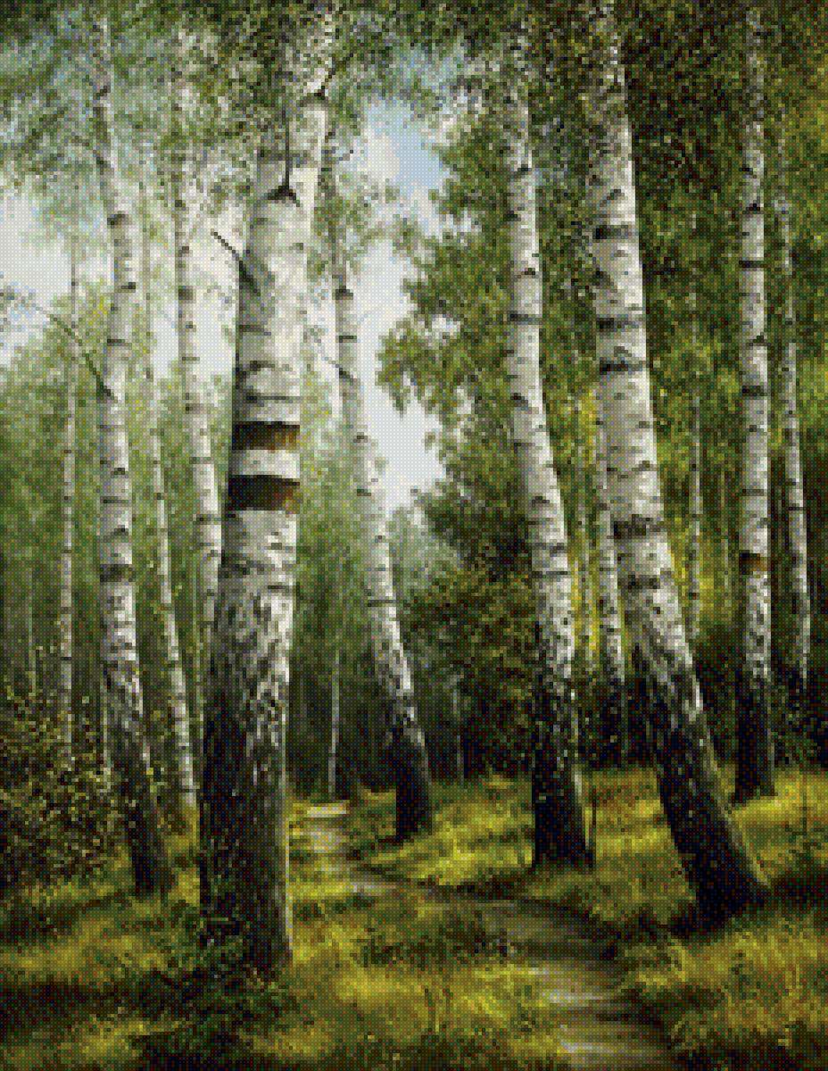 Берёзки - лето - предпросмотр