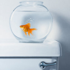 Схема вышивки «№1394499»