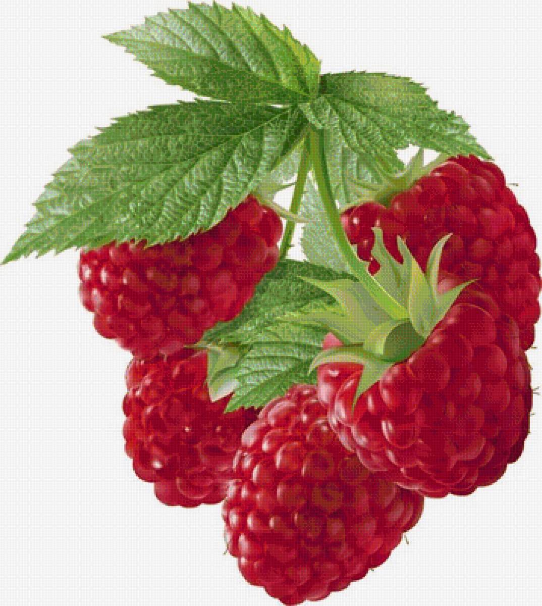 №1394658 - предпросмотр