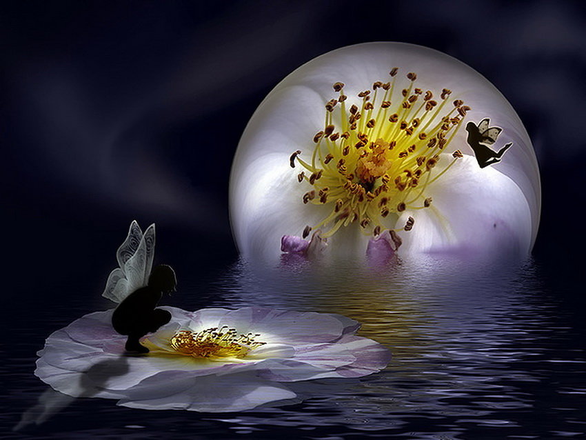 фея шара - оригинал