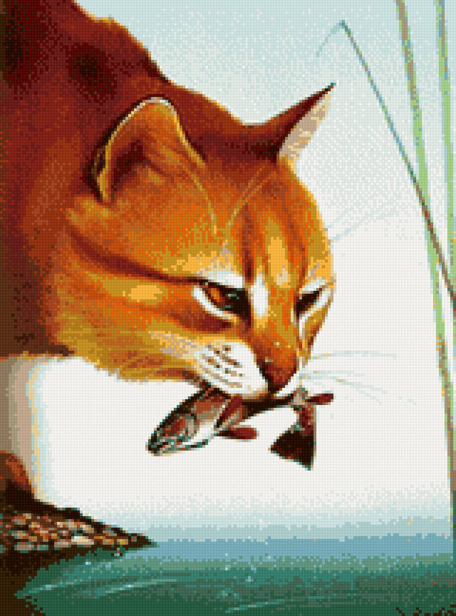 рыбак - коты - предпросмотр