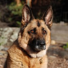 Схема вышивки «Поиск...»