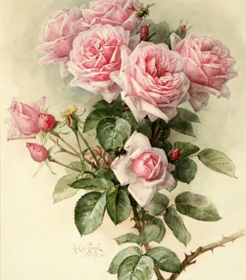 5579 - оригинал