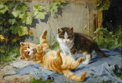 Котята - кошки, животные - оригинал