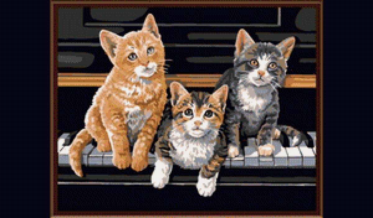 Котята - кошки, животные - предпросмотр