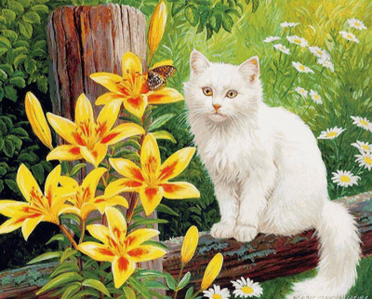 Красавица - цветы, животные, кошки, природа - предпросмотр