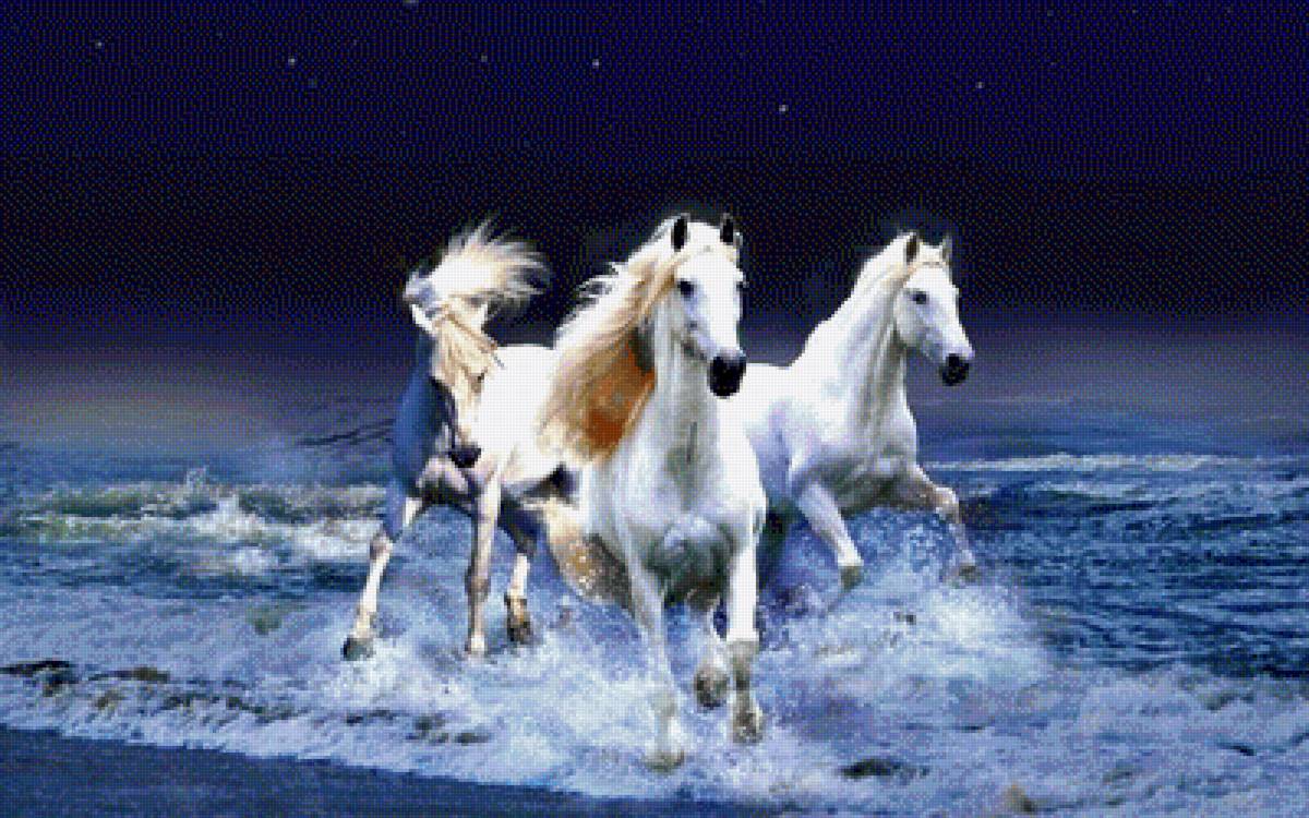 лошади - лошади - предпросмотр