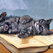 Схема вышивки «Котенок»