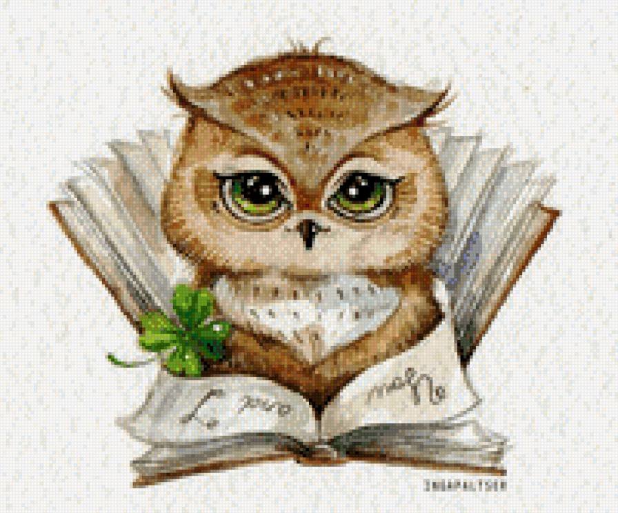 Сова с книжкой - оригинал