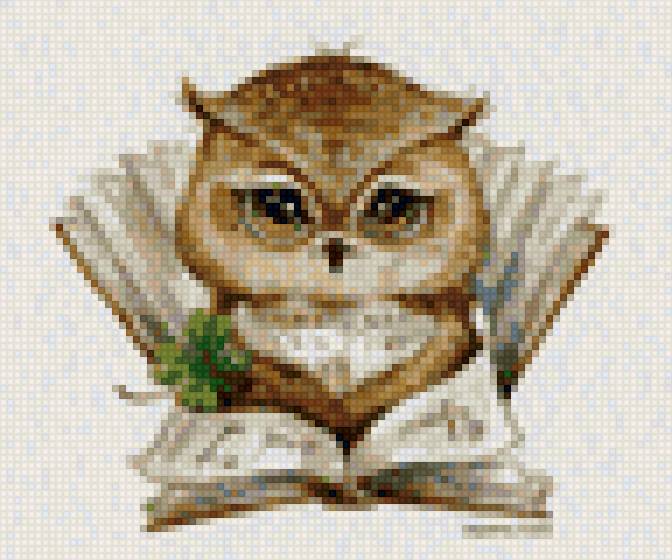 Сова с книжкой - предпросмотр