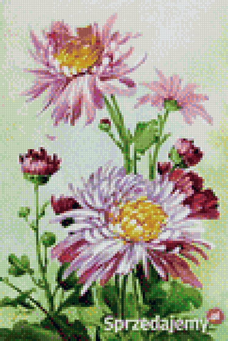 Астры - вышивка крестом, цветы, астры - предпросмотр