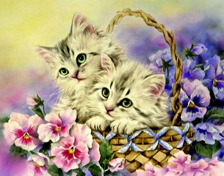 Котята - животные, коты - оригинал