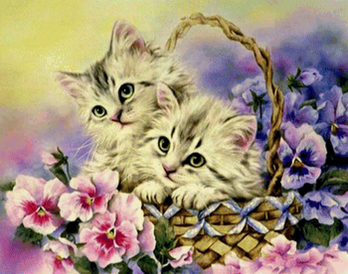 Котята - коты, животные - предпросмотр