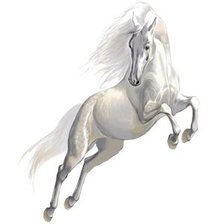 Схема вышивки «Прекрасный конь»