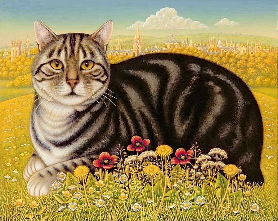 котик - животные, коты - оригинал