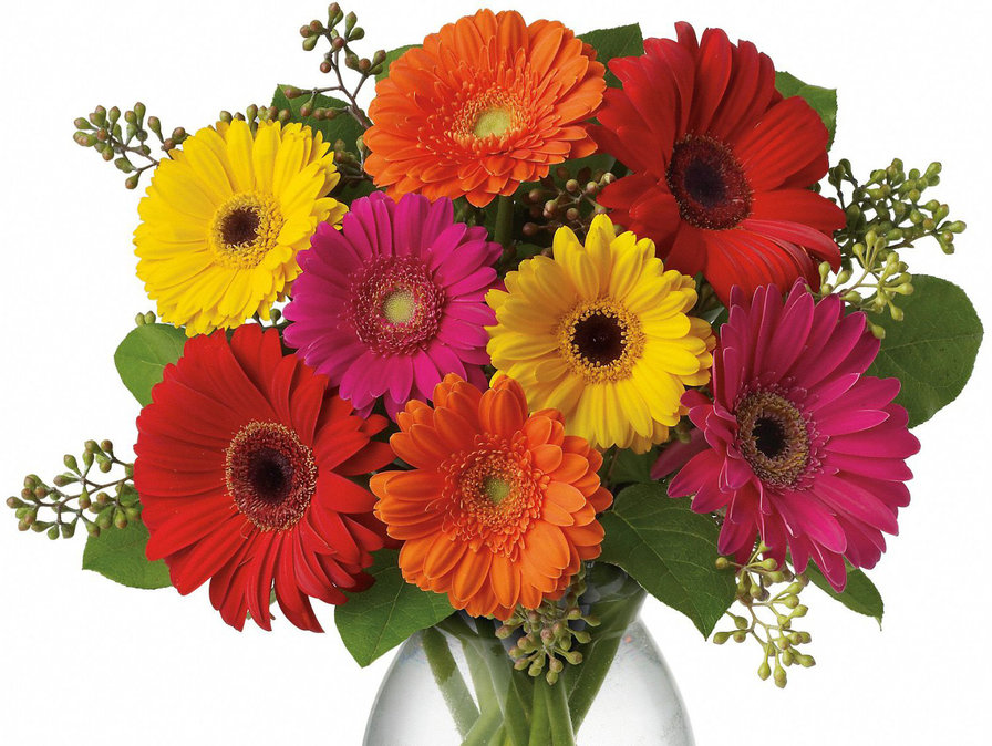 Герберы - букет, герберы, цветы - оригинал