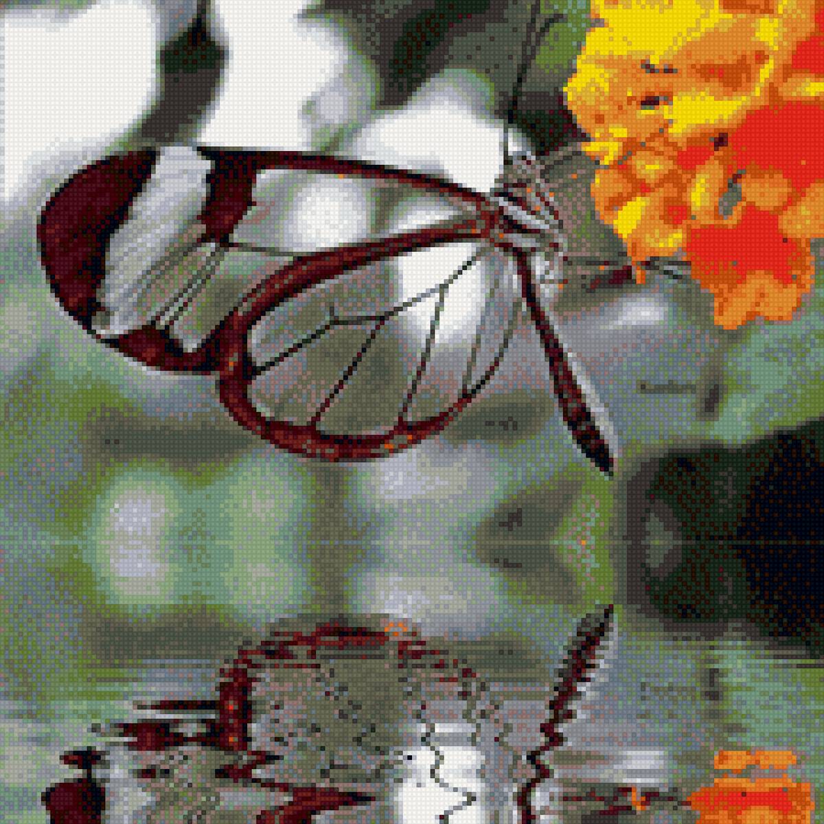 №1397590 - отражение - предпросмотр