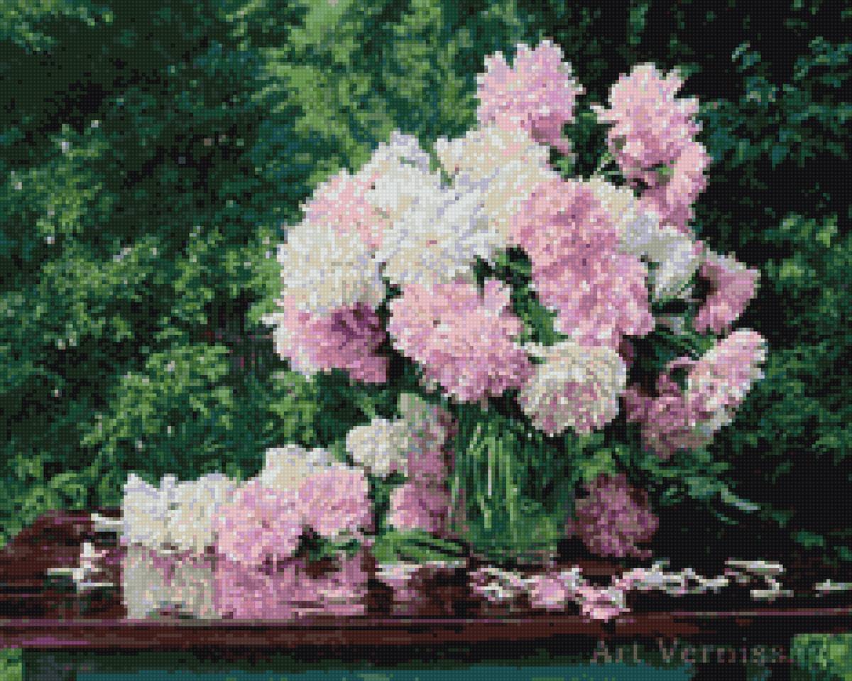 пионы после дождя - предпросмотр