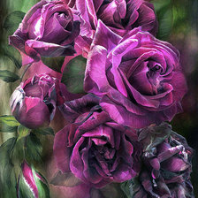Оригинал схемы вышивки «розы Керол Каваларис» (№1398330)