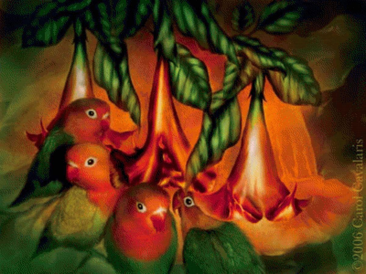 попугайчики - животные, картина - предпросмотр