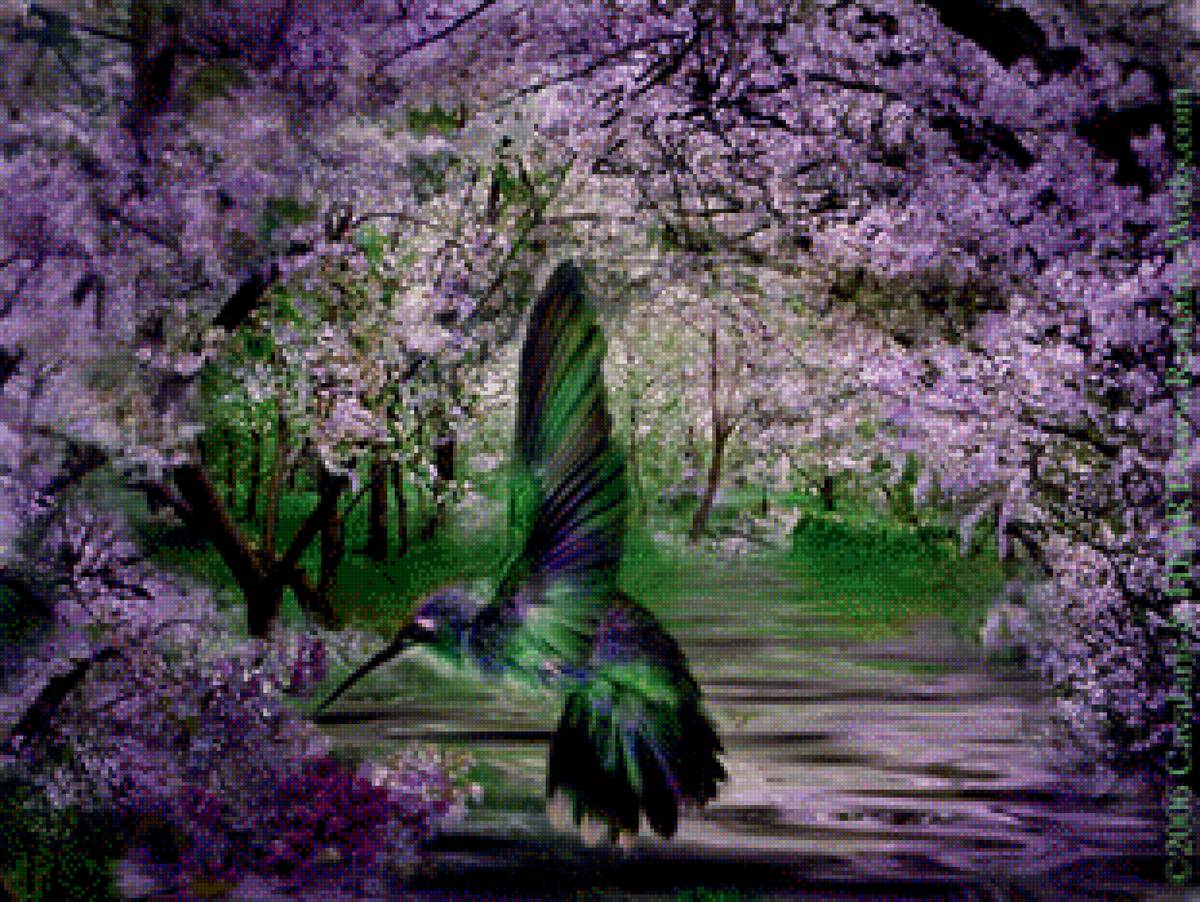 колибри - картина, животные - предпросмотр