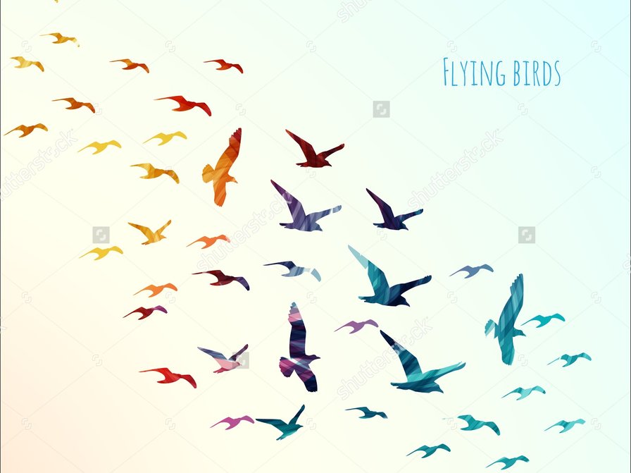 Птицы - birds птицы - оригинал