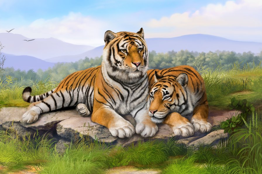 Тигры - оригинал