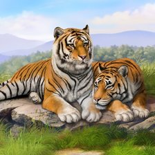 Оригинал схемы вышивки «Тигры» (№1398597)