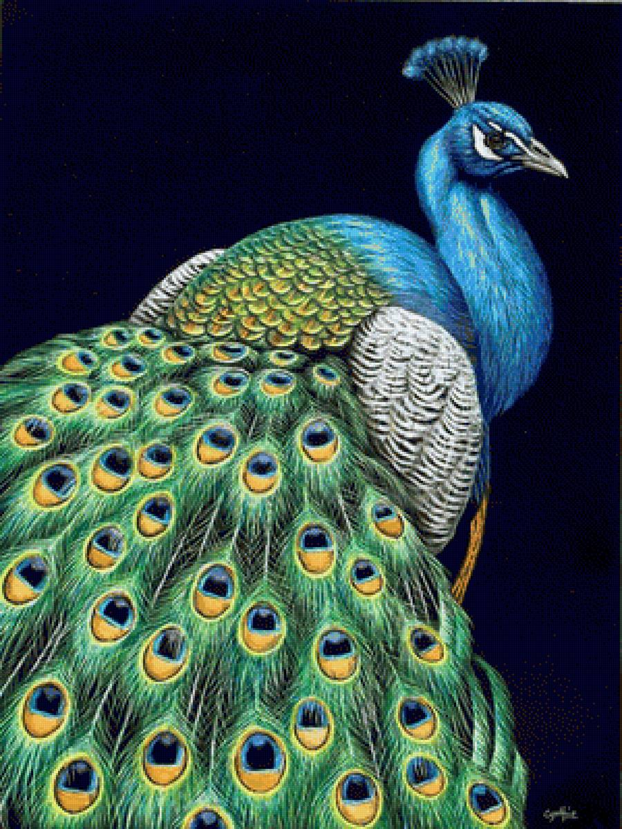 №1398832 - предпросмотр