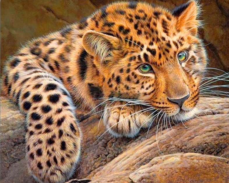 Леопардик - животные - оригинал