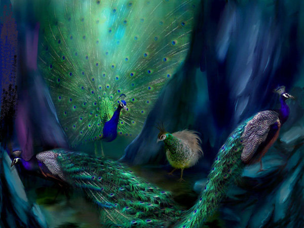 павлины - животные, картина - оригинал