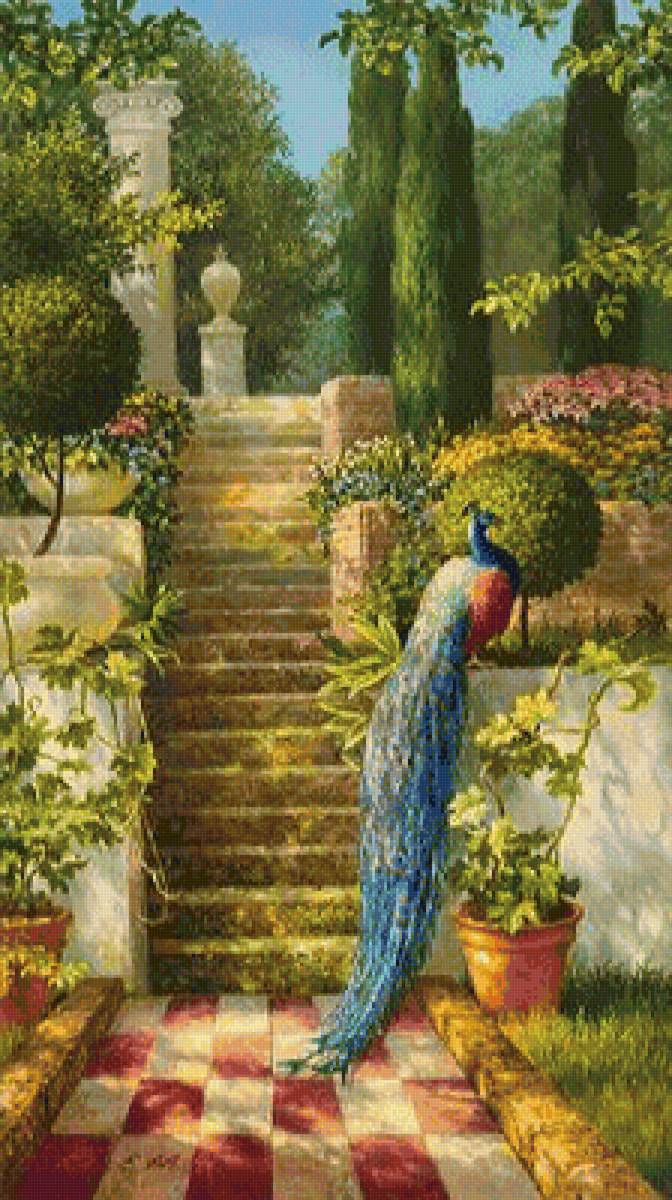 Павлин - птицы, живопись, природа, павлин, картина - предпросмотр