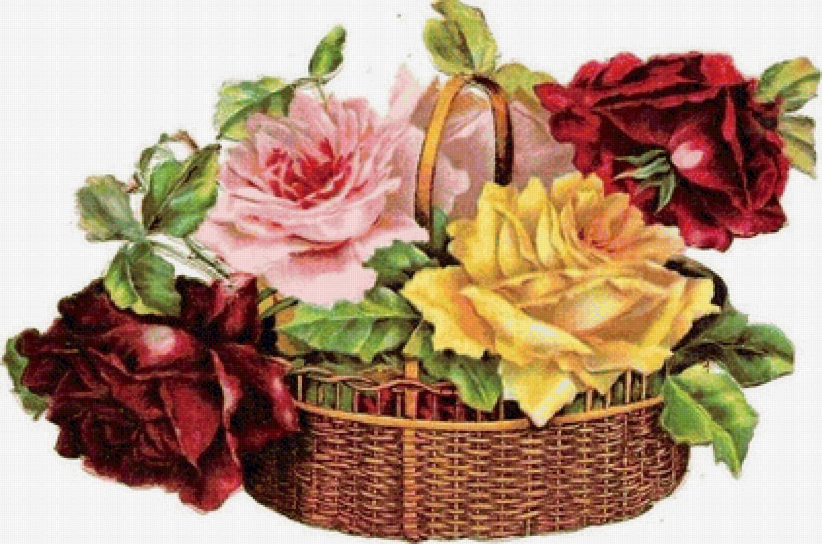 корзина роз - роза, красота, розы, цветы - предпросмотр