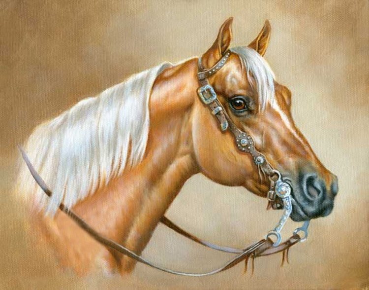 красавица - лошади, животные - оригинал