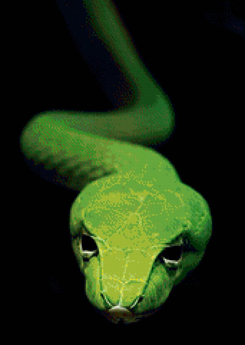 Аватарка змей. Зеленая змея. Зеленая Кобра. Зеленая Кобра змея. Салатовая змея.