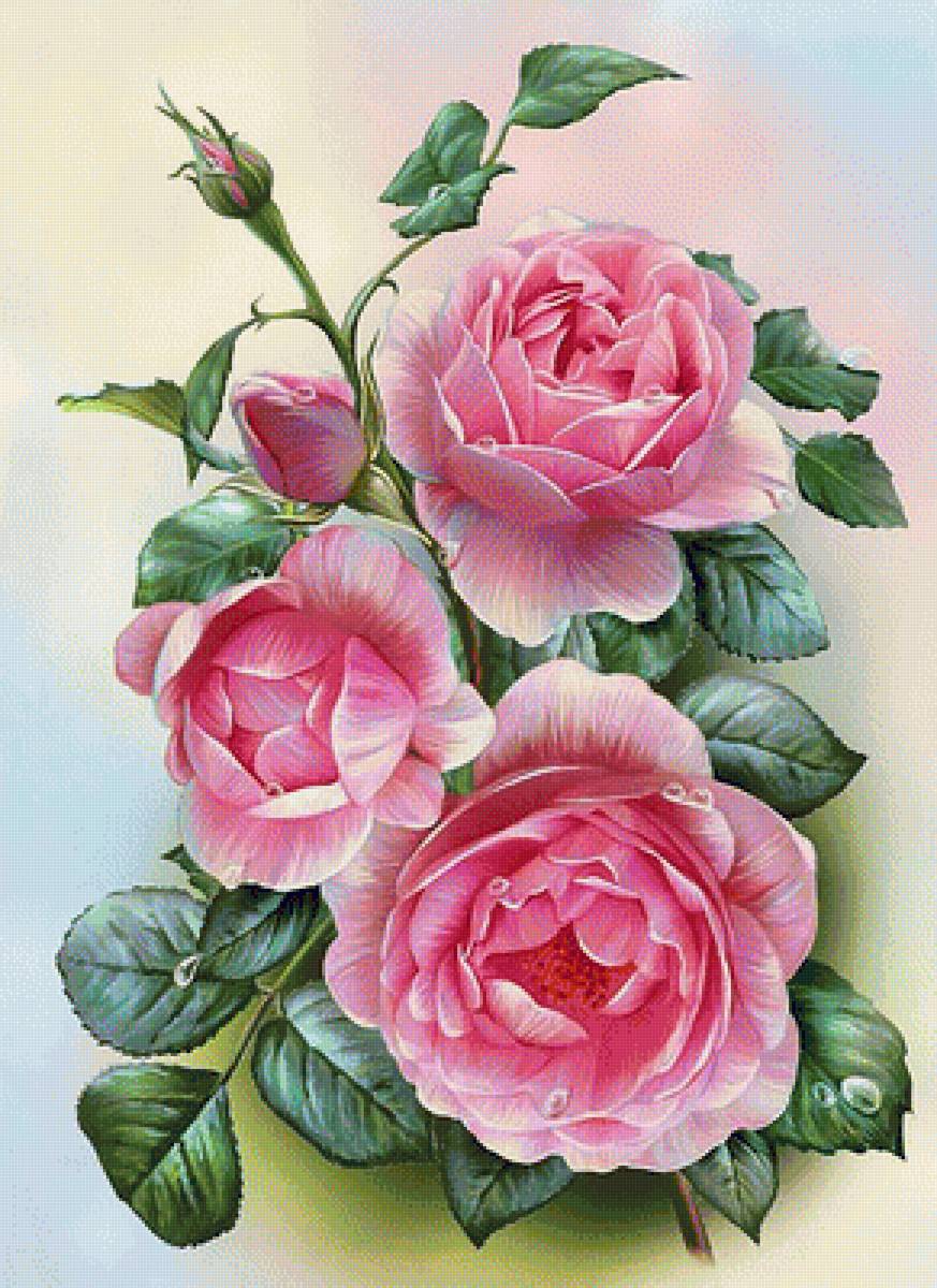 642 - предпросмотр