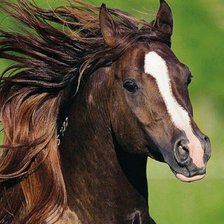 Схема вышивки «№1400126»