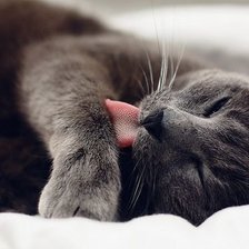 Схема вышивки «№1400131»