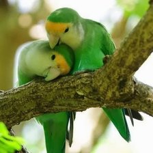 Схема вышивки «№1400133»