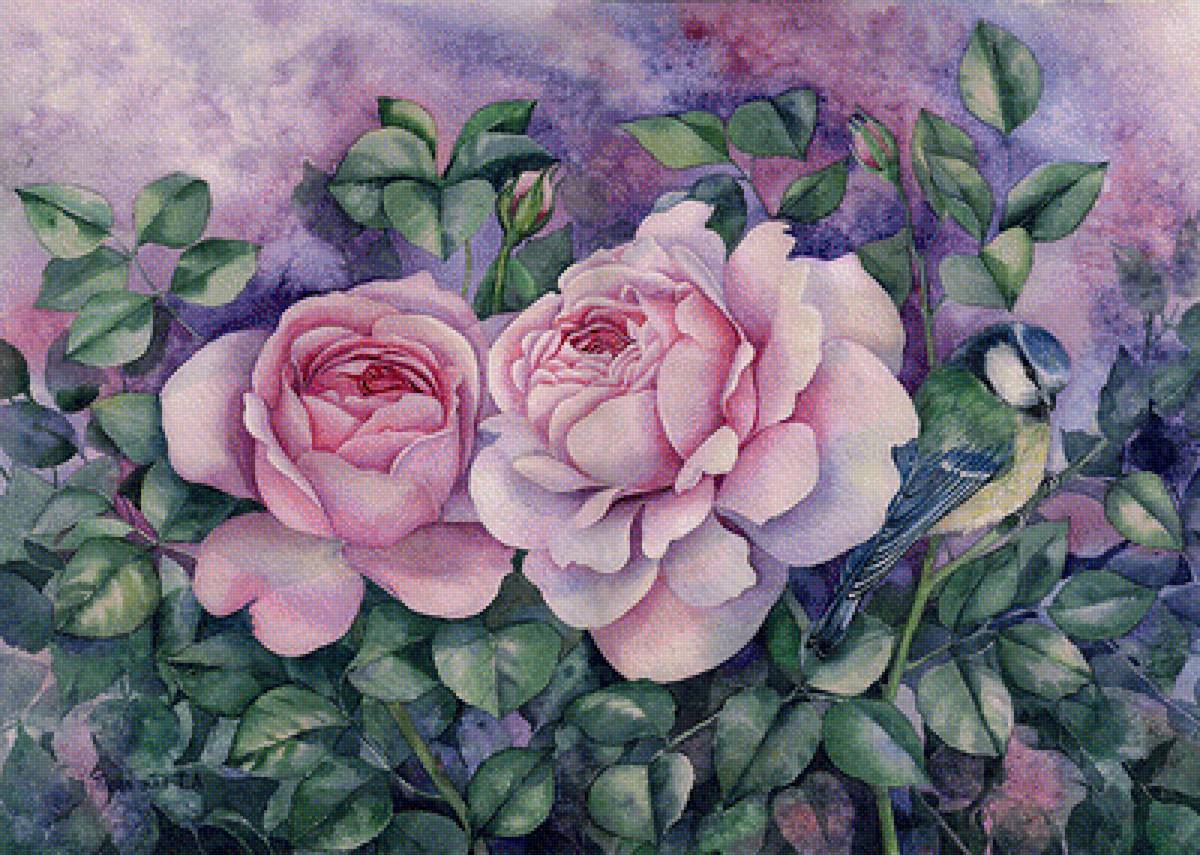 розы - предпросмотр