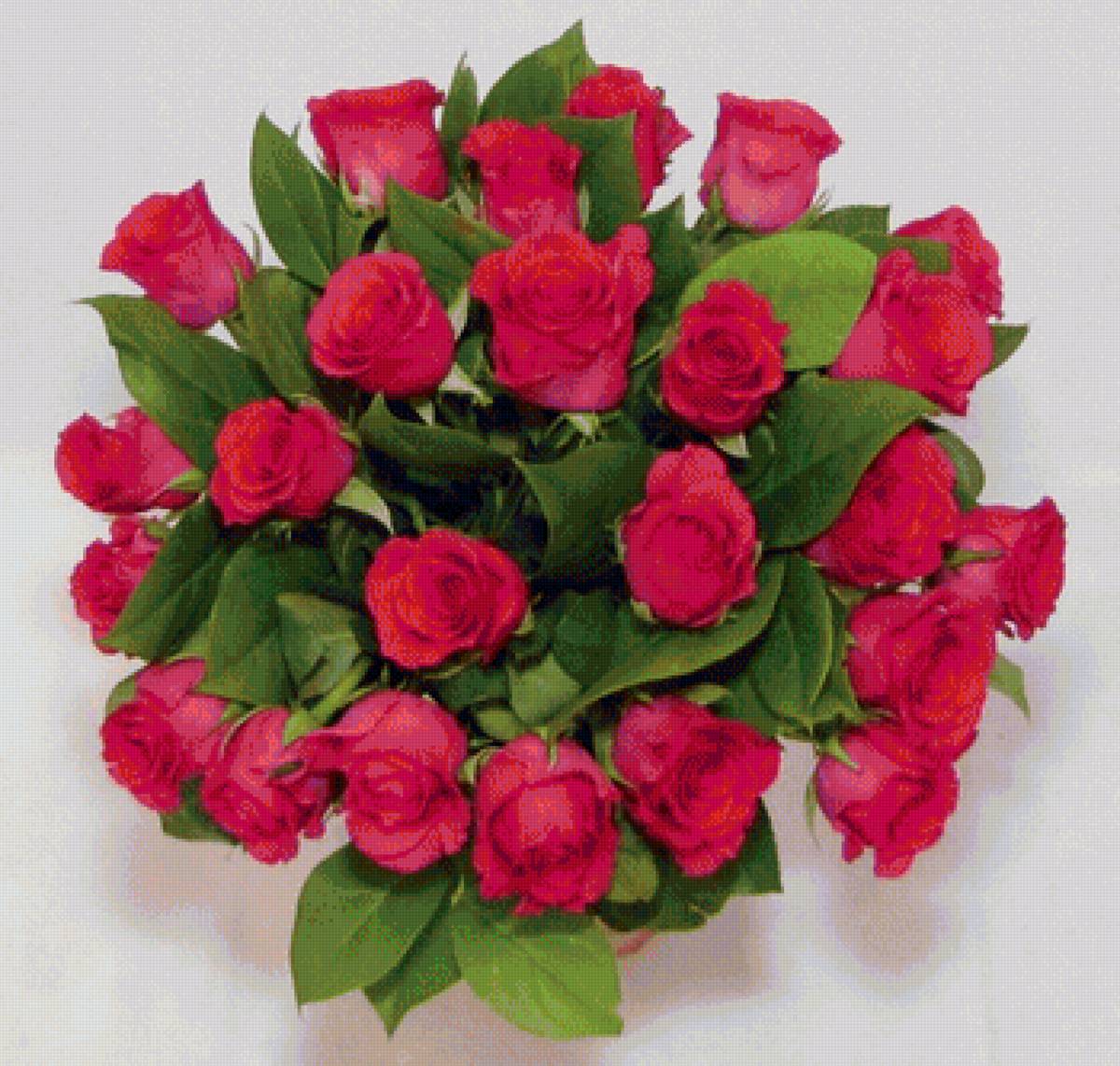 Букет роз - розы, цветы - предпросмотр