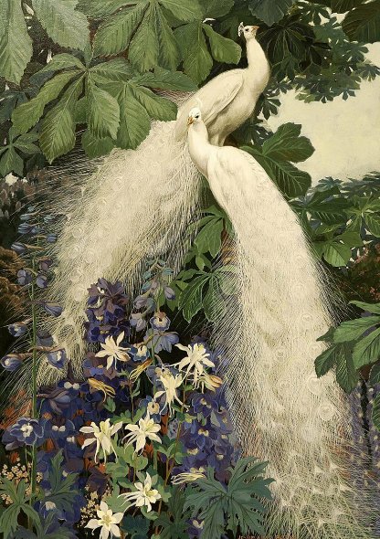 Белые павлины - цветы, картина, птицы, природа, живопись, павлины - оригинал