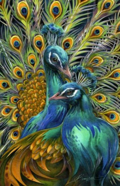 Павлины - природа, птицы, картина, павлины, живопись - оригинал