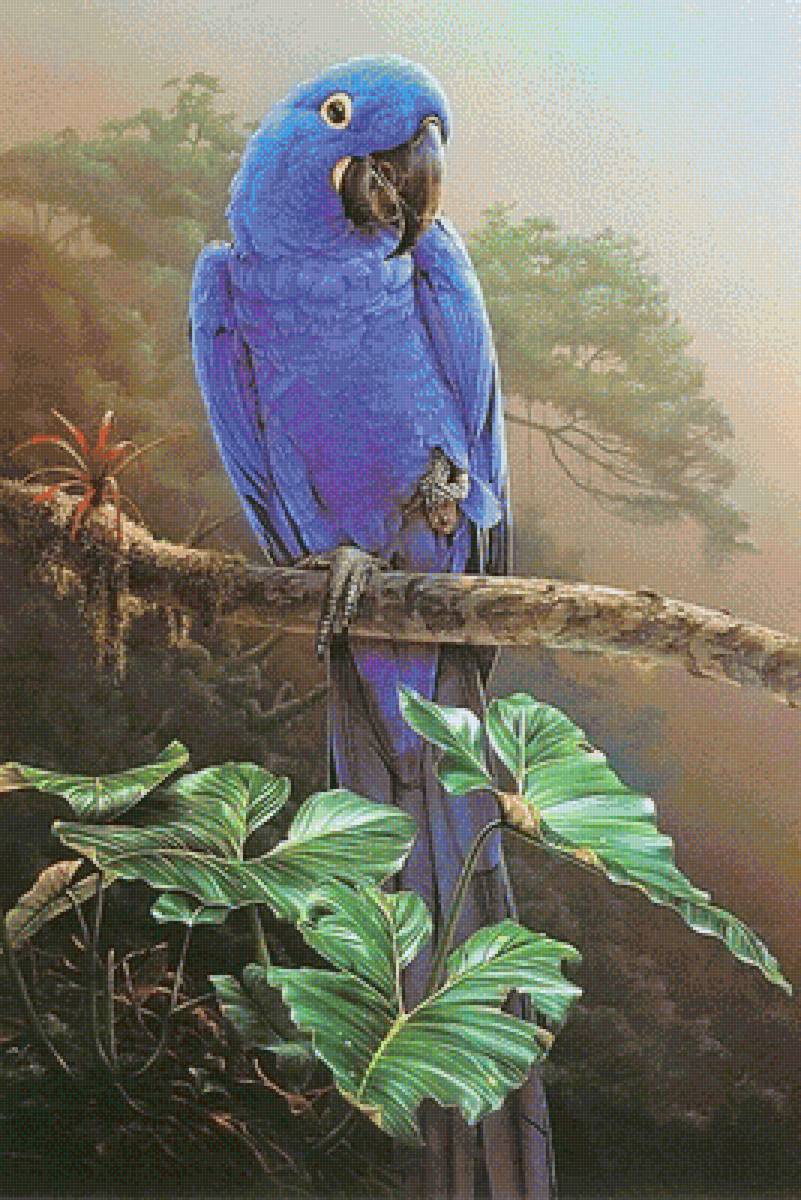 644 - предпросмотр